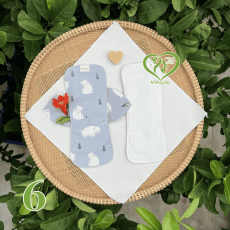 BVS vải LÕI RỜI 100% Organic Cotton 06
