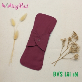 BVS vải LÕI RỜI Xanh