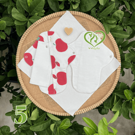 BVS vải LÕI RỜI 100% Organic Cotton 05