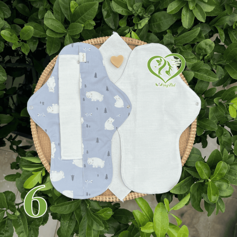 BVS vải LÕI RỜI 100% Organic Cotton 06
