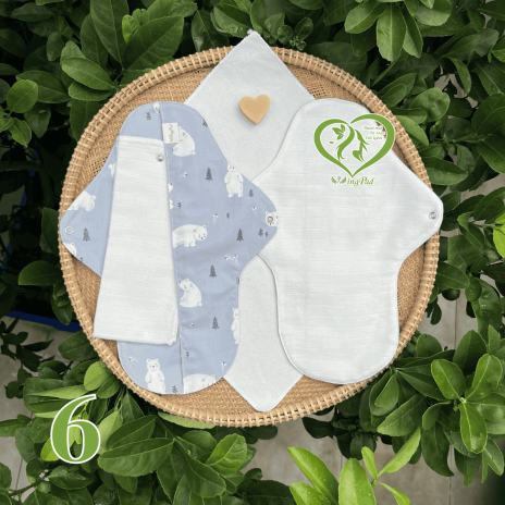 BVS vải LÕI RỜI 100% Organic Cotton 06