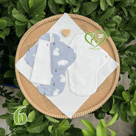 BVS vải LÕI RỜI 100% Organic Cotton 06