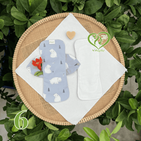 BVS vải LÕI RỜI 100% Organic Cotton 06