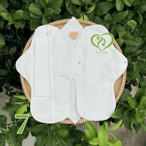 BVS vải LÕI RỜI 100% Organic Cotton 07