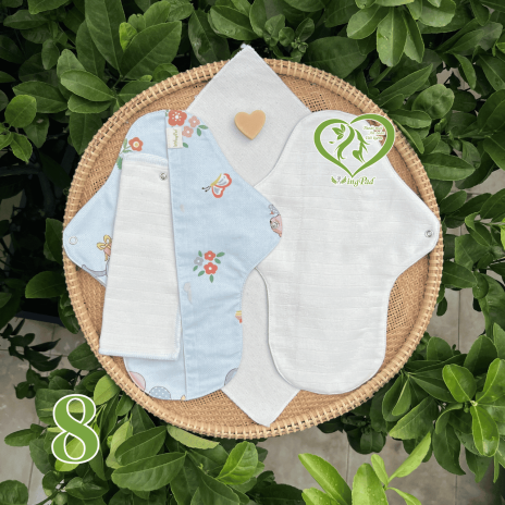 BVS vải LÕI RỜI 100% Organic Cotton 08