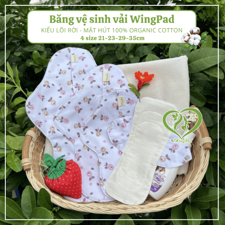 BVS vải LÕI RỜI 100% Organic Cotton 07