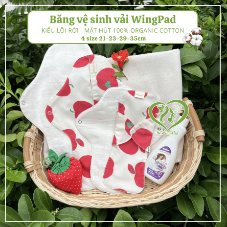 BVS vải LÕI RỜI 100% Organic Cotton 08