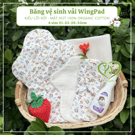 BVS vải LÕI RỜI 100% Organic Cotton 10