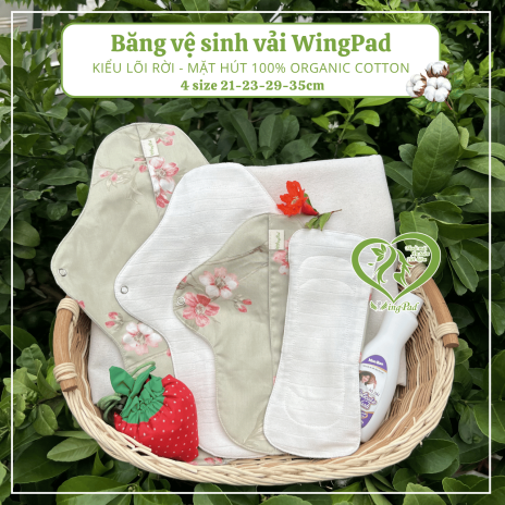 BVS vải LÕI RỜI 100% Organic Cotton 05