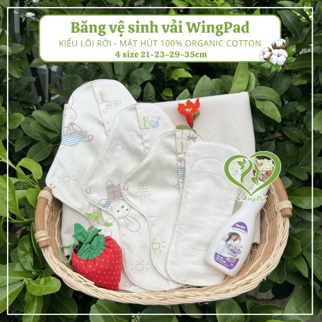 BVS vải LÕI RỜI 100% Organic Cotton 06
