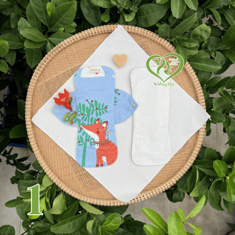 BVS vải LÕI RỜI 100% Organic Cotton 01