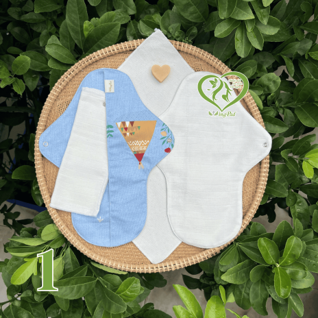 BVS vải LÕI RỜI 100% Organic Cotton 01