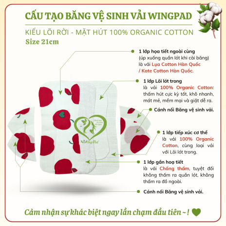 BVS vải LÕI RỜI 100% Organic Cotton 07