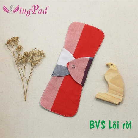 BVS vải LÕI RỜI Xanh