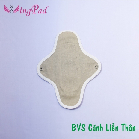 BVS vải CÁNH LIỀN 26cm