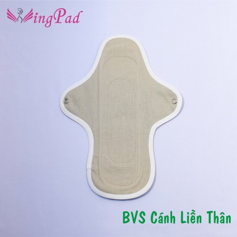 BVS vải CÁNH LIỀN 21cm