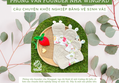 PHỎNG VẤN FOUNDER WINGPAD - CÂU CHUYỆN KHỞI NGHIỆP BĂNG VỆ SINH VẢI