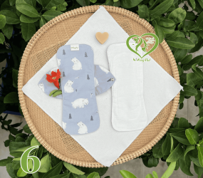 BVS vải LÕI RỜI 100% Organic Cotton 06