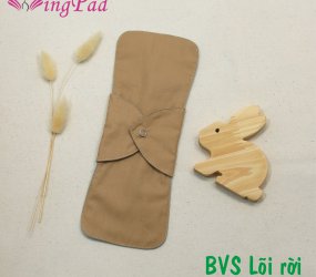 BVS vải LÕI RỜI Xanh