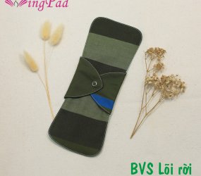 BVS vải LÕI RỜI Xanh