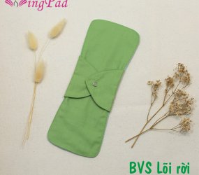 BVS vải LÕI RỜI Xanh