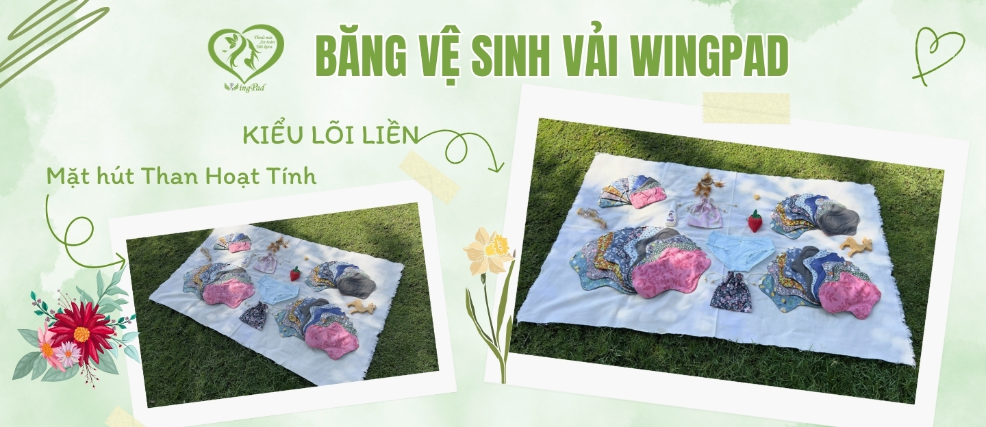 bvs lõi liền đen tht