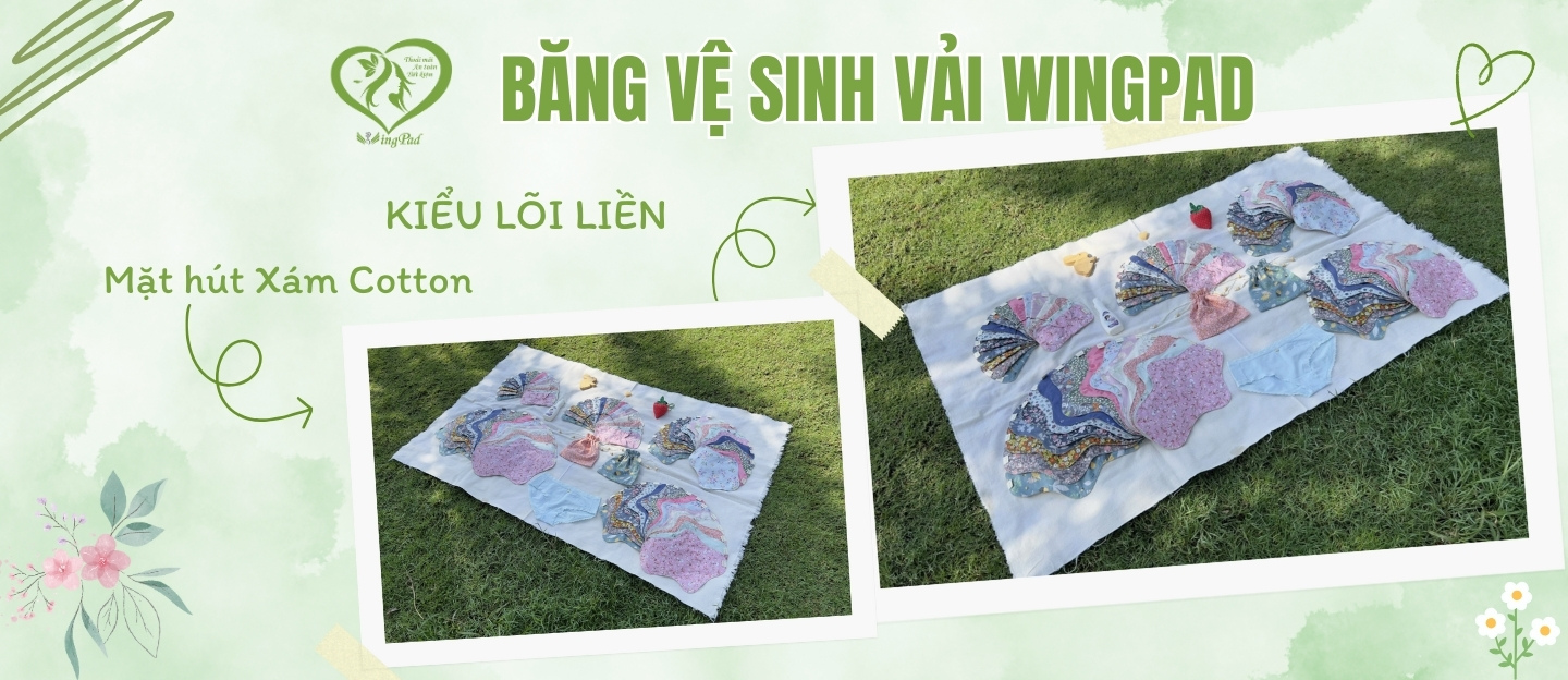 bvs lõi liền xám cotton